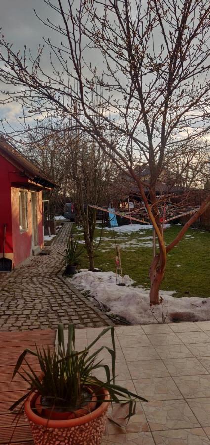 Hotel Casa Terzea Râșnov Zewnętrze zdjęcie