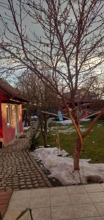 Hotel Casa Terzea Râșnov Zewnętrze zdjęcie